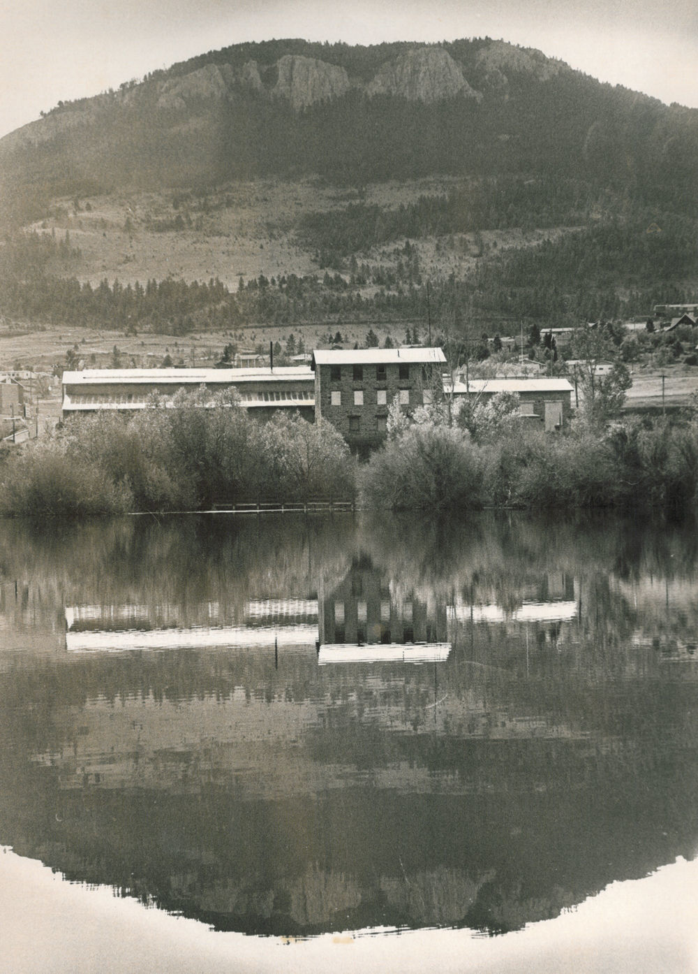View from Spring Meadow